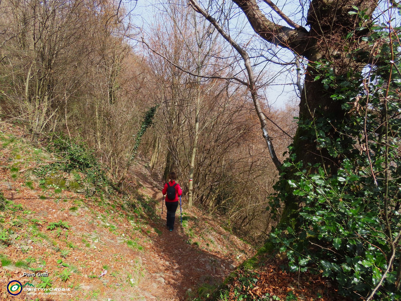 71 Scendiamo al Final dal sent. 584 (variante alta).JPG